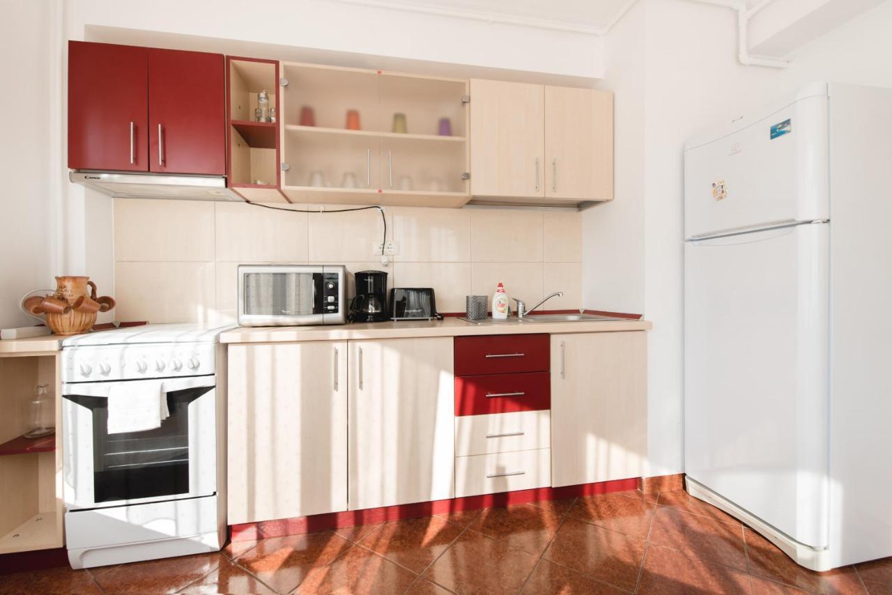Oltului Apartment 布拉索夫 外观 照片